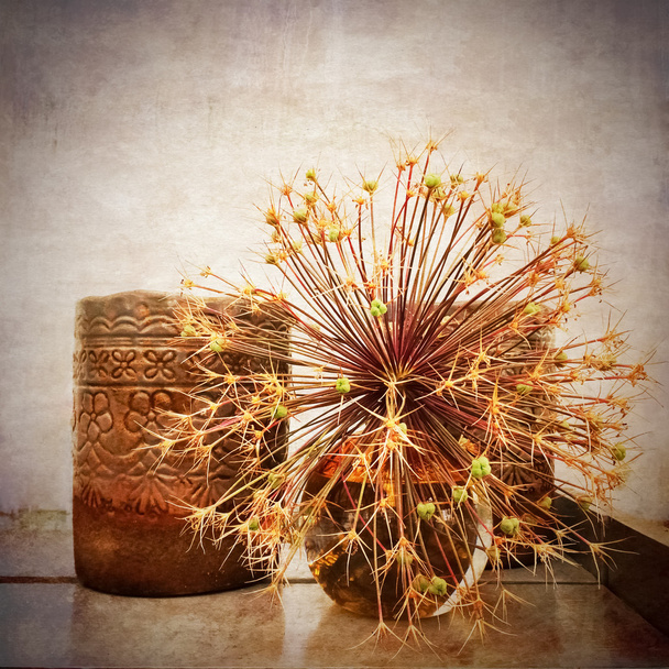 keramické vázy a dekorativní rostliny - Fotografie, Obrázek