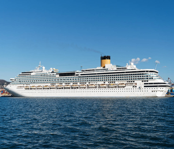 cruise ship in the gulf of la spezia - Photo, Image