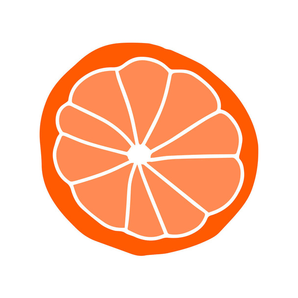 Vektorový obrys barevné ilustrace jednoho kulatého řezu čerstvé oranžové izolované na bílém pozadí - Vektor, obrázek