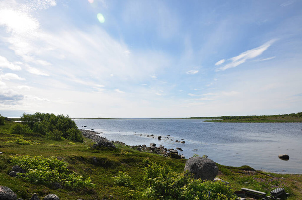 Island Bolshoy Zayatsky. Solovetsky Islands. White Sea. North of Russia - Фото, изображение