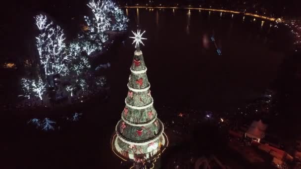 Ночной вид с воздуха на подсвеченную Рождественскую ёлку на сцене городской жизни. Праздничный пейзаж. Крис Три и Рождество в парке Ибирапуэра в Сан-Паулу. Украшение для праздников. - Кадры, видео
