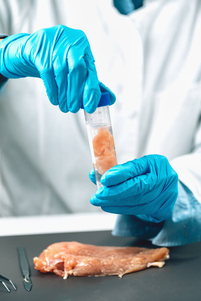 Voedselveiligheid Inspectie van rauw kippenvlees in een laboratorium. Kwaliteitscontrole-expert die het monster in een reageerbuis scheidt.  - Foto, afbeelding