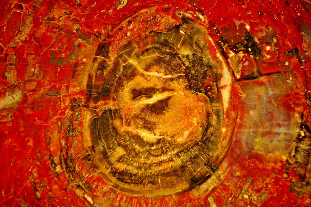 Агломерат окаменелый полированный
 - Фото, изображение