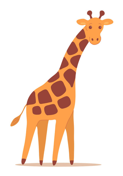 Cartoon giraffe on a white background. African herbivore. Zoo and safari. Vector isolated baby illustration - Vector, Image