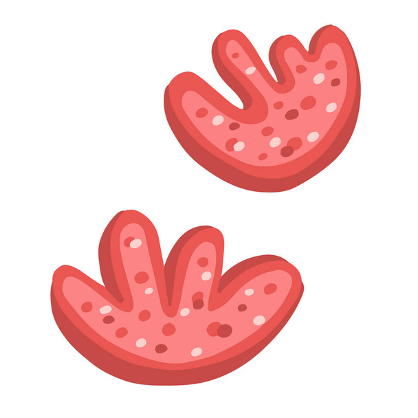 roze schelpen schelpen getekend illustratie - Vector, afbeelding