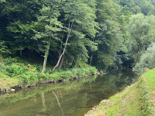 ゴルスキ・コタル川の保護された景観の隣にあるドブラ川-クロアチアのヴルボフスコ(リジェカ・ドブラ・ズ・ザスティチェニ・クラヨナ・カマコナ・ウ・ゴルスコム・コタル-ヴルボフスコ,フルヴァツカ) - 写真・画像