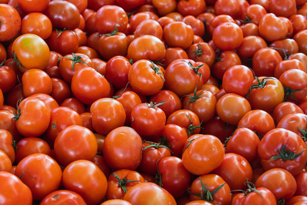 Tomaten achtergrond. Verse tomaten variëteit geteeld in de winkel. Tomaten voor salade, entree en soep - Foto, afbeelding