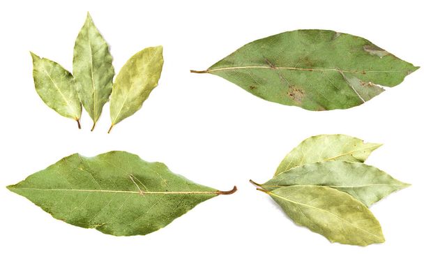 serie di varie foglie di alloro verde essiccate isolate su sfondo bianco - Foto, immagini