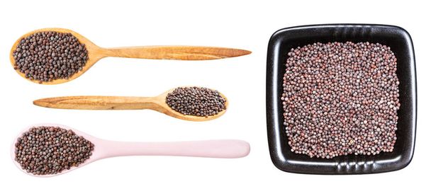 set of various black mustard seeds isolated on white background - Photo, Image