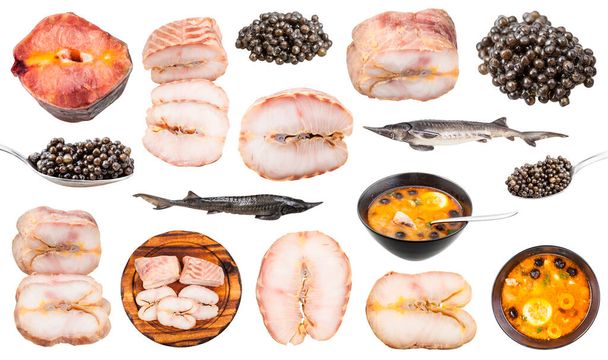 set van verschillende gekookte en rauwe voedingsmiddelen van steurvissen geïsoleerd op witte achtergrond - Foto, afbeelding