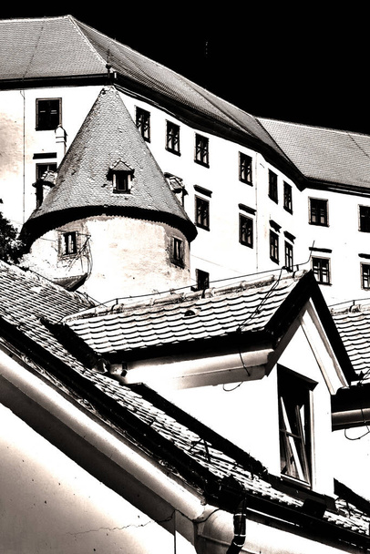 Muinainen monitasoinen jalo rakennus, jossa on erilaiset katot ja geometriset kolmion, kartion ja puolisuunnikkaan muodot - Valokuva, kuva