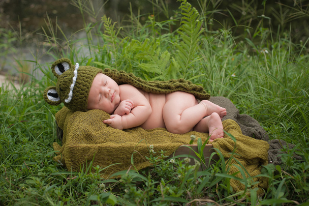 Малыш в костюме аллигатора
 - Фото, изображение