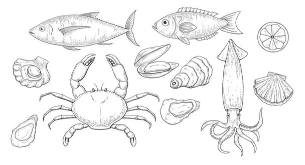 Sea food black set sketch - Вектор,изображение