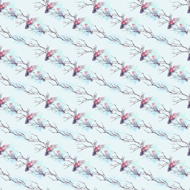 watercolor aussie parrots seamless pattern. Watercolour decoration pattern. Vintage watecolour background. Perfect for wallpaper, fabric design, wrapping paper, digital paper. - Valokuva, kuva