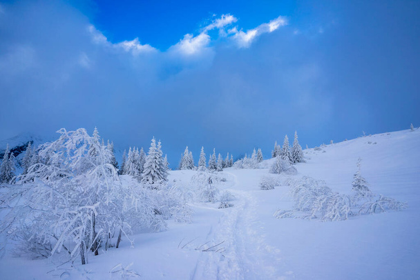 Ένα υπέροχο ορεινό τοπίο με χιονισμένα δέντρα. Εθνικό Πάρκο Τάτρα. Πολωνία. - Φωτογραφία, εικόνα