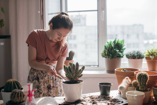 Junge Frau verpflanzt Kakteen zu Hause. Schöne Mädchen bei der Arbeit mit Zimmerpflanzen in der Wohnung. Frühlingspflege im Topf - Foto, Bild