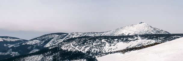 Вид з гірської галявини в сонячний зимовий день, Велетні гори, Польща. - Фото, зображення