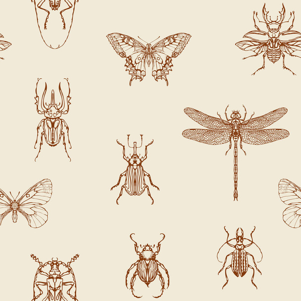 Seamless pattern with detailed brown contour drawings of various insects. Hand-drawn vector background with butterflies, beetles, dragonfly on old paper. Retro-style wallpaper, wrapping paper, fabric - Vetor, Imagem