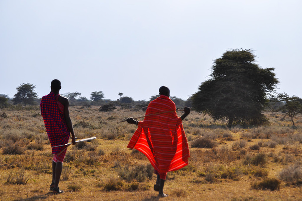 Masai - Foto, afbeelding