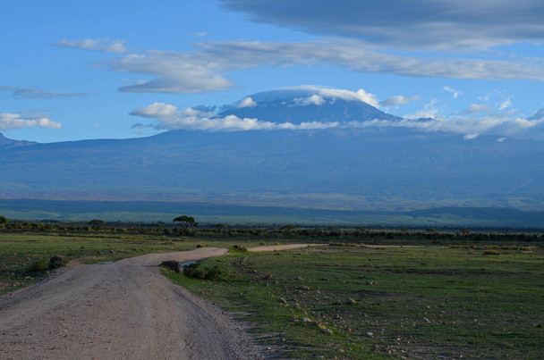 Вид на Килиманджаро в Национальном парке Амбосели, Кения, Африка - Фото, изображение
