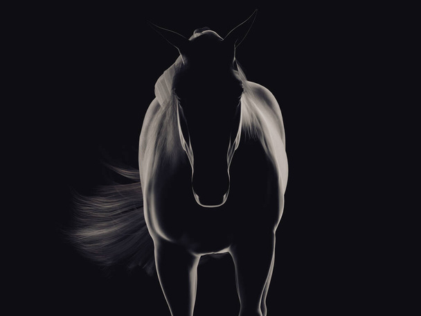 Une silhouette d'un cheval debout vue de face. Illustration 3D. - Photo, image