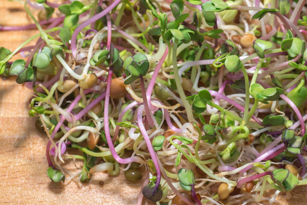 A mix of home cultivated sprouts on cutting board. Food background. - Photo, Image