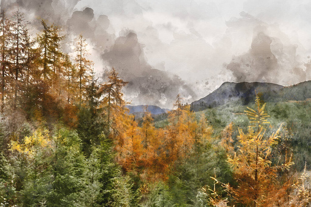 Pintura aquarela digital da bela paisagem Outono Outono de larício árvore e floresta de pinheiros no Lake District - Foto, Imagem