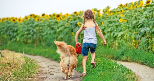 Little girl with golden retriever - Photo, Image