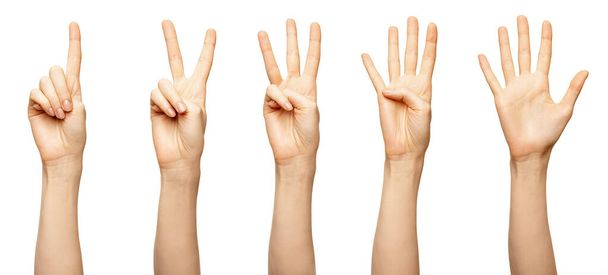 白で隔離された1,2,3 3,4,5から数える女性の手。美しい女性の指はカウントダウンゼロ、 1を示しています。2 、 3 、 4 、 5 - 写真・画像