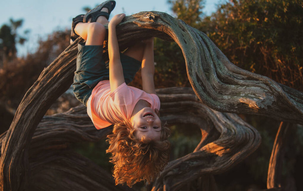 Детское лазание по деревьям. Симпатичный ребенок залез на дерево в парке, счастливая детская концепция. - Фото, изображение