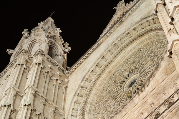 Kathedraal van palma de mallorca, Balearen, Spanje - Foto, afbeelding