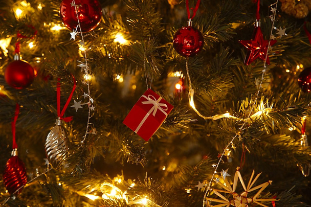 Χριστουγεννιάτικο δέντρο - Φωτογραφία, εικόνα
