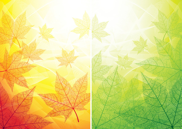 Autumn and summer backgrounds - Vector, Image