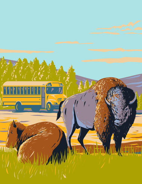 WPA plakat sztuki dzikiej przyrody wycieczki autobusem i North American bison lub Plains żubra w prerii Yellowstone National Park, Wyoming, Stany Zjednoczone Ameryki wykonane w stylu zarządzania projektem prac - Wektor, obraz
