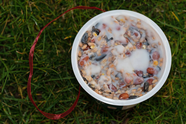 Potes de iogurte fazem excelentes recipientes para sementes de aves, que podem ser contidos em gorduras comestíveis derretidas e definidas, como banha. - Foto, Imagem