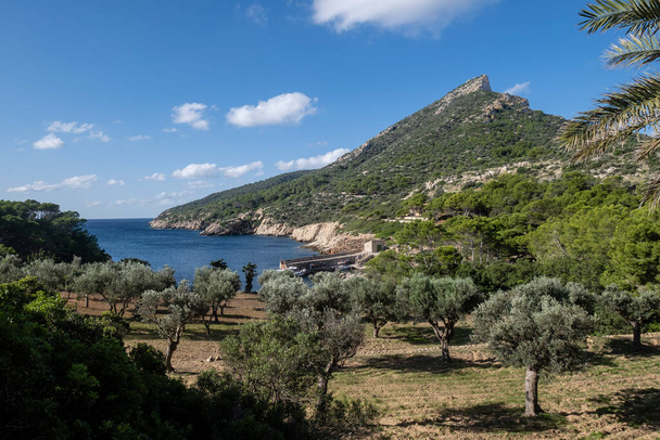 Přístav Des Lledo, přírodní park Dragonera, Mallorca, Baleárské ostrovy, Španělsko - Fotografie, Obrázek