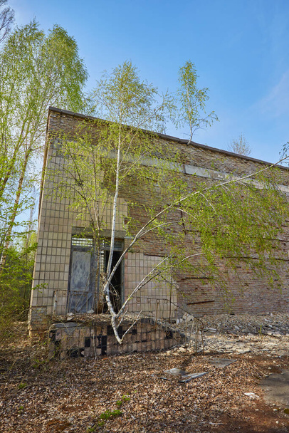 Zniszczona szkoła w mieście Prypeć, w strefie wyłączonej po katastrofie w elektrowni jądrowej w Czarnobylu - Zdjęcie, obraz