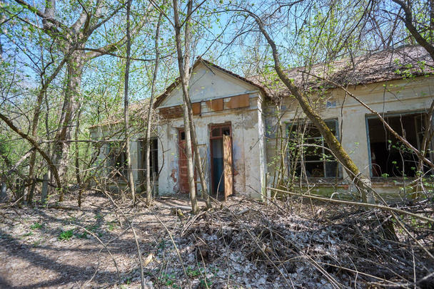 Çernobil Yasaklama Bölgesi 'nde yer alan Zalyssia köyündeki yıkılmış eski evler, popüler karanlık turizm konumu, Ukrayna, Doğu Avrupa - Fotoğraf, Görsel