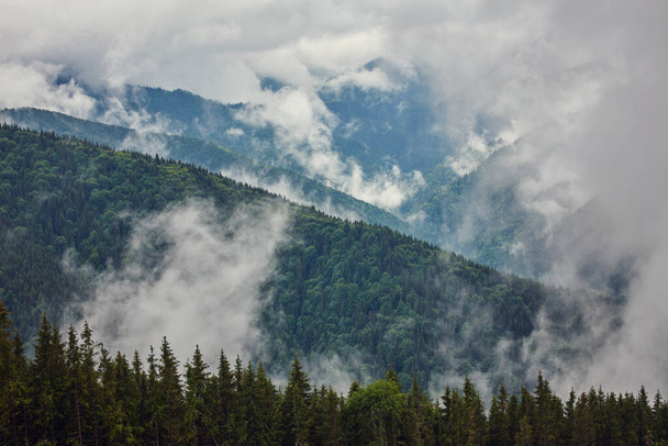 Majestic view on beautiful fog mountains in mist landscape. Dramatic unusual scene. Travel background. Exploring beauty world. Carpathian mountains. Ukraine. Europe. - Фото, изображение