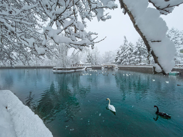 Kugulu Ulusal Parkı bölgesinde kış manzaraları ve görkemli doğa - Fotoğraf, Görsel