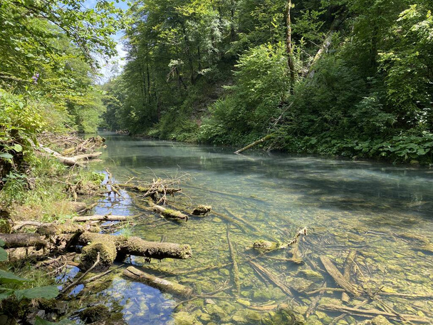 Paisaje protegido del pequeño río Kamacnik en Gorski kotar Vrbovsko, Croacia (Zasticeni krajolik rjecice Kamacnik u Gorskom kotaru Vrbovsko, Hrvatska) - Foto, Imagen