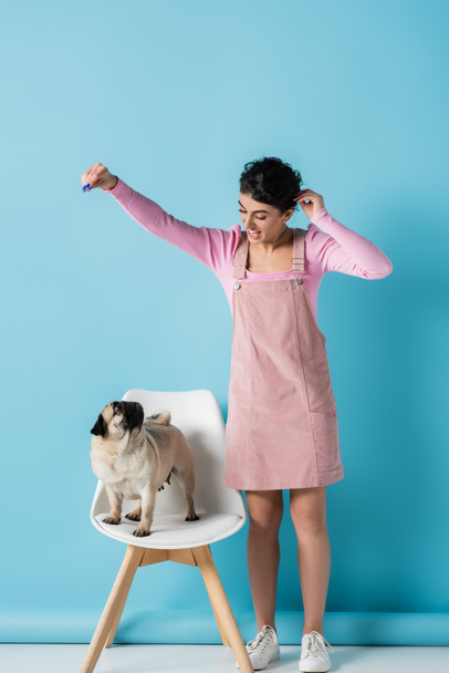 cheerful woman playing with pug on white chair on blue background - Photo, Image