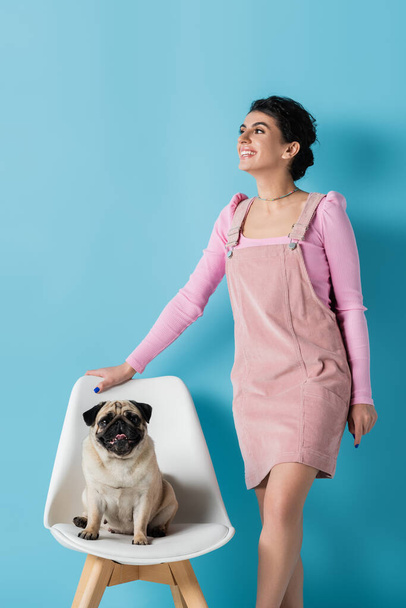 happy and stylish woman looking away near pug on white chair on blue background - Foto, imagen