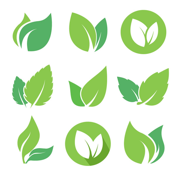 Green leaves set on white background. Flat Design elements for eco and organic bio logo, natural products, pharmacy, medicine, icons. JPG illustration - Photo, Image