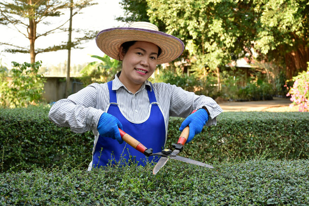  Asiatische Gärtnerin schneidet abends im Hinterhof Sträucher mit einer großen Schere. Konzept: Hobby, Zeitvertreib, Arbeit in der Natur tragen zur Entspannung bei. Gut für die psychische Gesundheit  - Foto, Bild