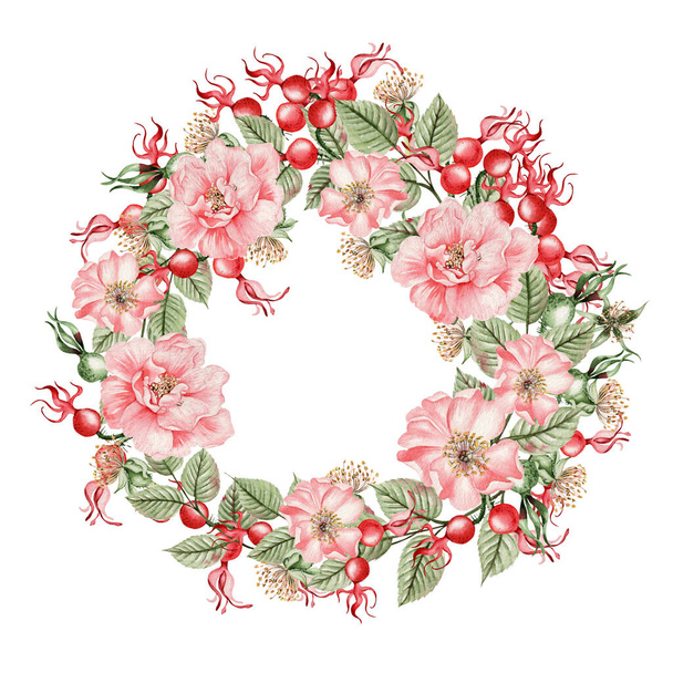 Krásná akvarel věnec s růžovými kyčle květiny a pupeny. Ilustrace   - Fotografie, Obrázek