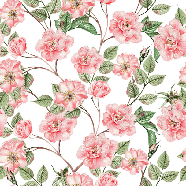 Beautiful watercolor seamless pattern with rose hip flowers and leaves. Illustration. - 写真・画像