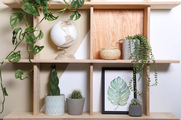 カラーウォール上のインテリアアクセサリーや観葉植物と木製の棚ユニット - 写真・画像