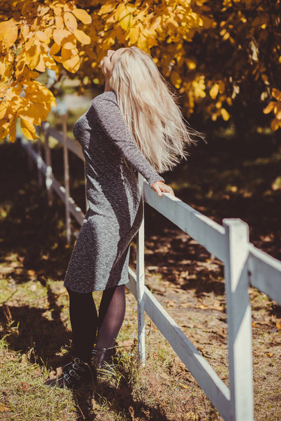 Herfst - herfstseizoen, casual stijl voor plus size dames. Modieuze kleding en outfit elementen - Foto, afbeelding
