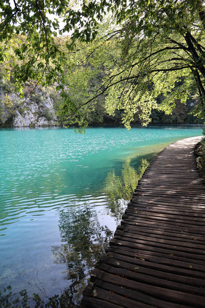 Turkuaz mavi bir su gölü ve güneşli bir sabahın erken saatlerinde Plitvice Gölleri Ulusal Parkı 'nda ahşap bir yürüyüş yolu. Bir sonbahar sabahı güzel yeşil yaprakları olan kayalara ve ağaçlara tepeden bakan parlak mavi suyla göl boyunca yürüyorum.. - Fotoğraf, Görsel